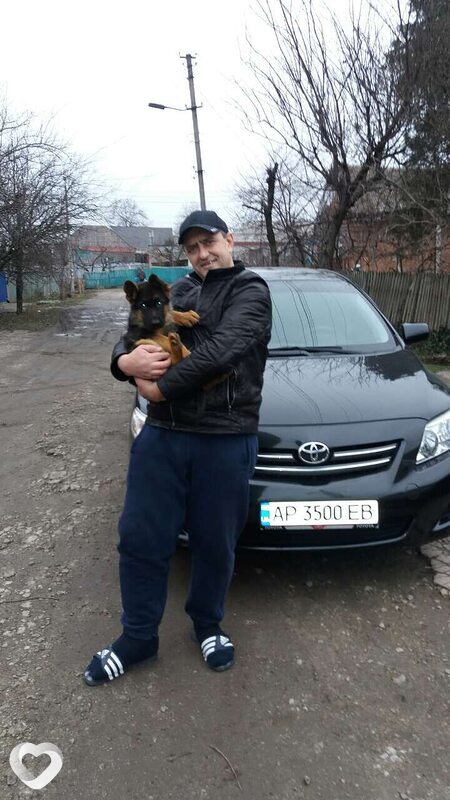 Фото анкеты Денис
