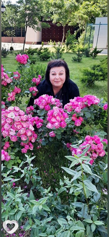 Фото анкеты Svitlana