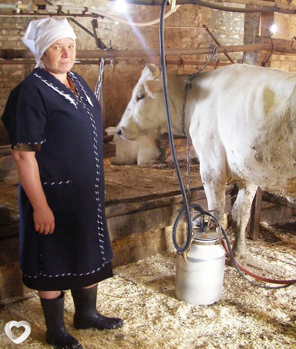 Фото анкеты Юлия