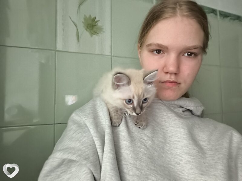 Фото анкеты Полина
