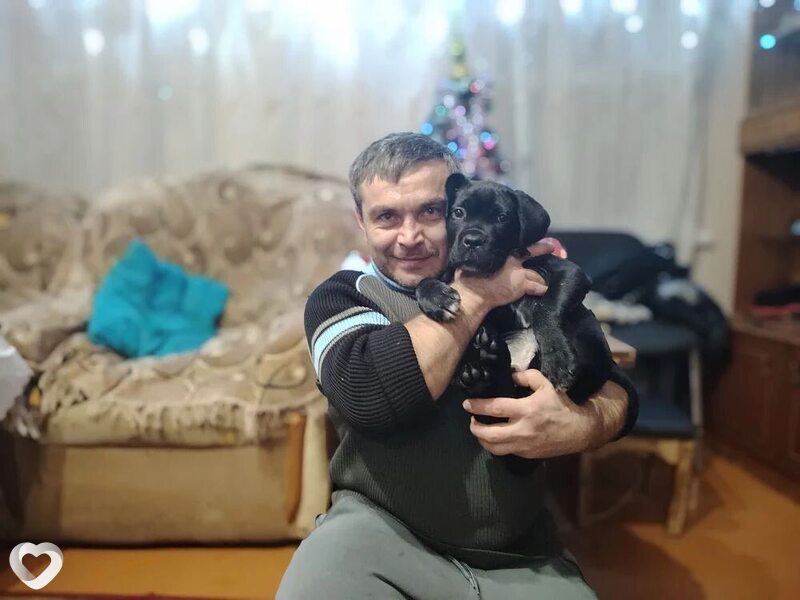 Фото анкеты Владимир