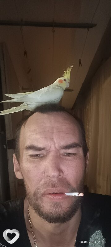 Фото анкеты Haggard