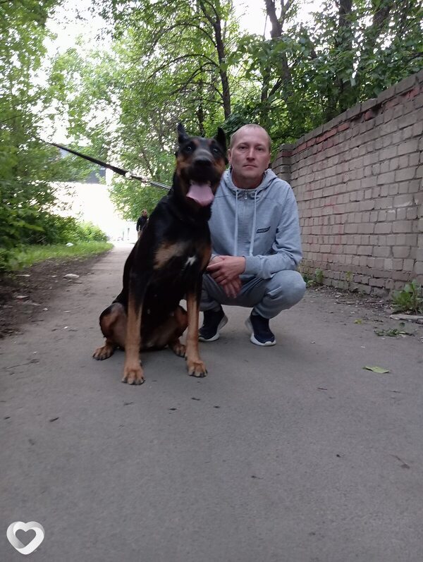 Фото анкеты Владимир