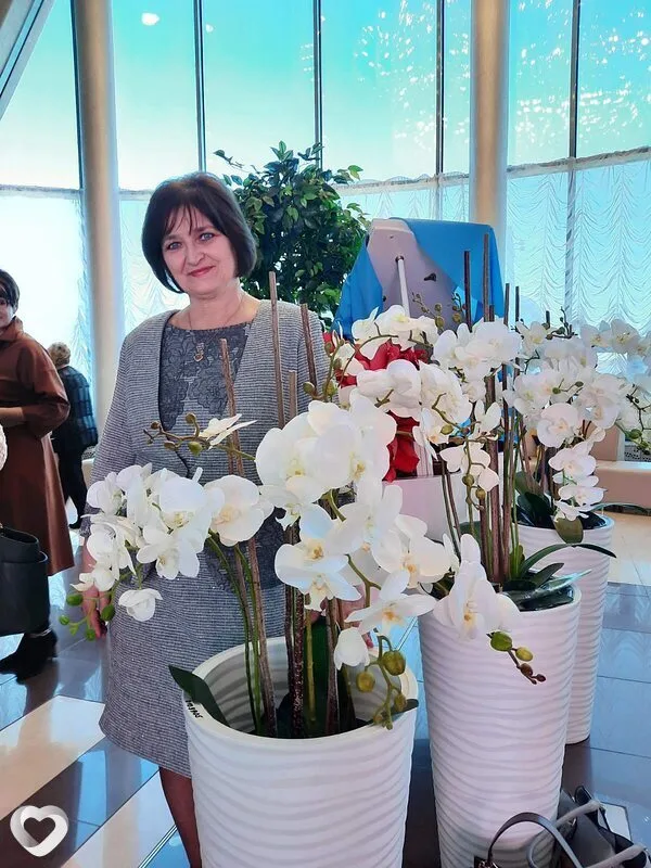 Фото анкеты Елена