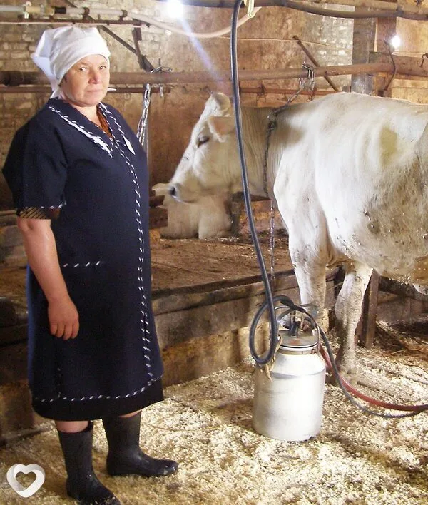 Фото анкеты Юлия