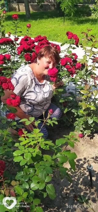 Фото анкеты Анастасія